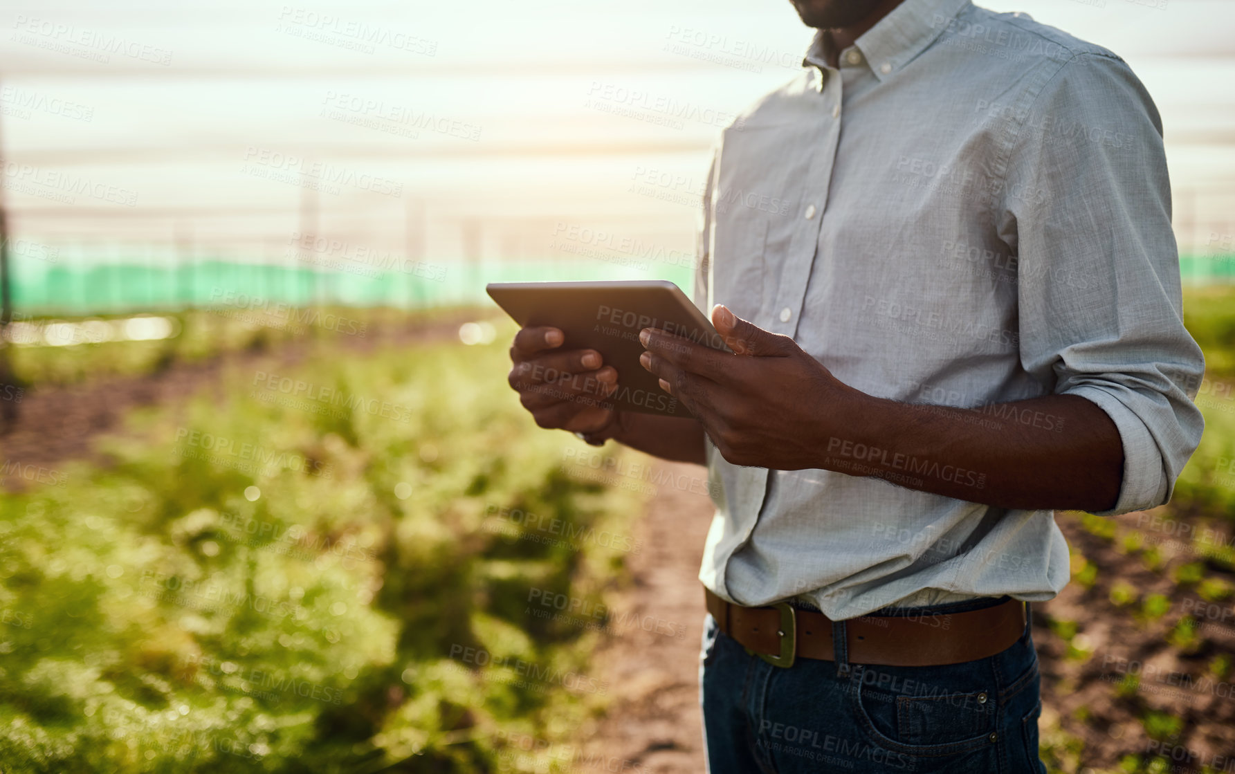 Buy stock photo Cropped shot of an unrecognizable male farmer using a tablet while working on his farm