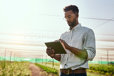 Buy stock photo Cropped shot of a handsome young male farmer using a tablet while working on his farm