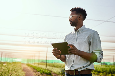 Buy stock photo Thinking farmer with digital tablet checking sustainable farming growth, progress or preparing farm export order on tech. Serious man, gardener or greenhouse environmental scientist on a rural estate