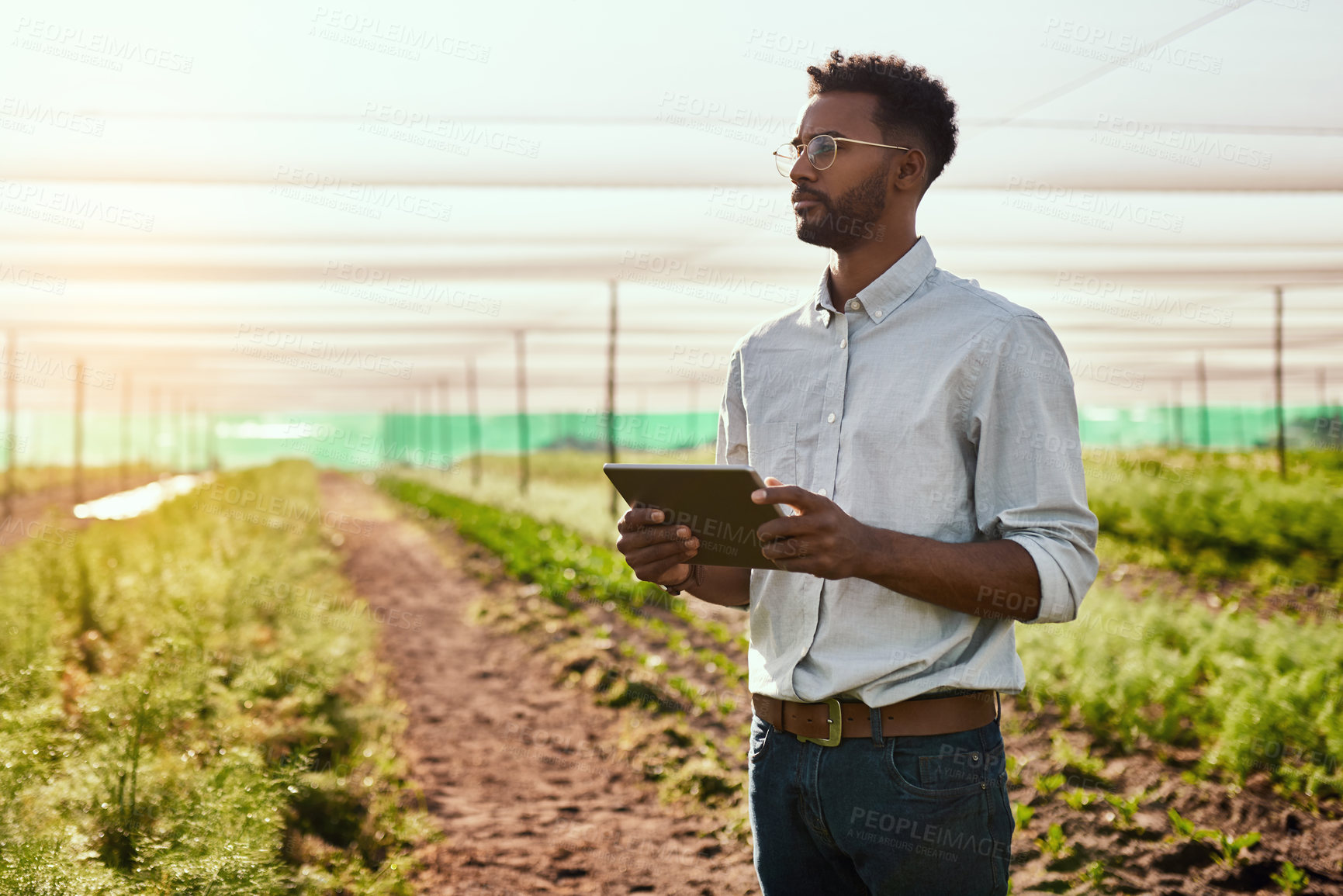 Buy stock photo Cropped shot of a handsome young male farmer using a tablet while working on his farm