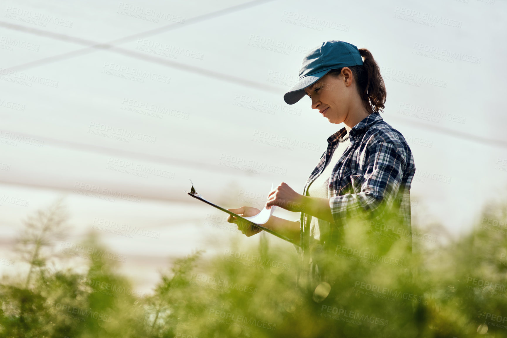 Buy stock photo Cropped shot of an attractive young female farmer looking over paperwork while working on her farm