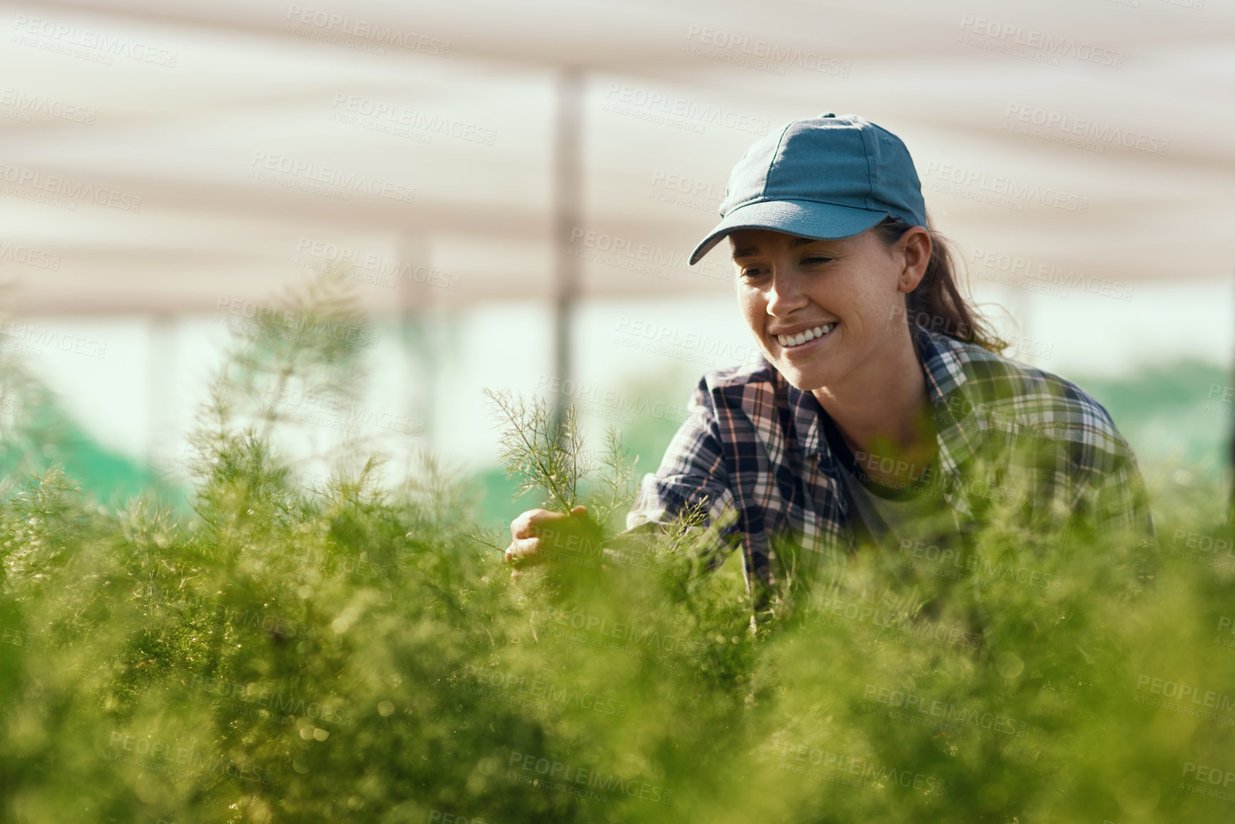 Buy stock photo Cropped shot of an attractive young female farmer working on her farm