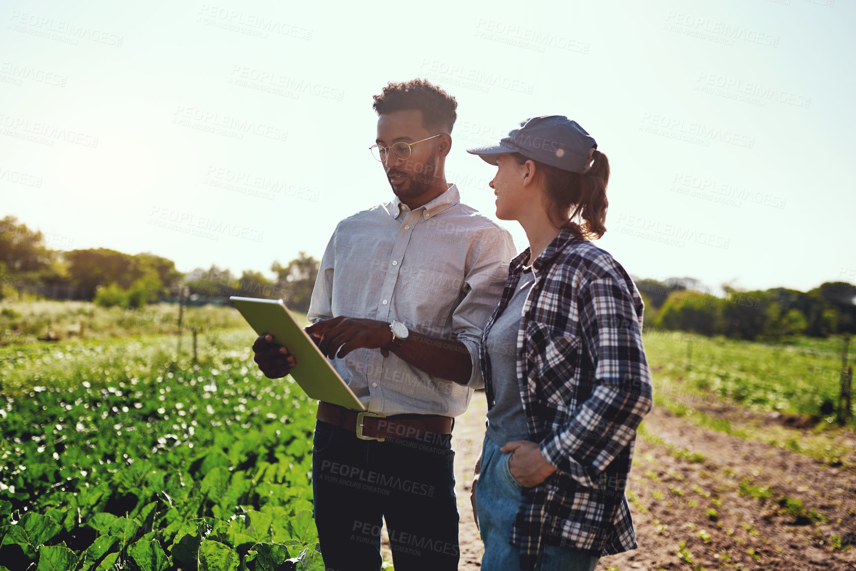Buy stock photo Cropped shot of two young farmers looking at a tablet while working on their farm