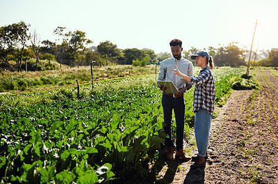 Buy stock photo Farmers using a digital tablet while talking in an organic vegetable garden. Farm workers in a nursery tracking produce growth online. Entrepreneurs planning harvest together on agricultural land 