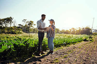 Buy stock photo Full length shot of two young farmers looking at a tablet while working on their farm