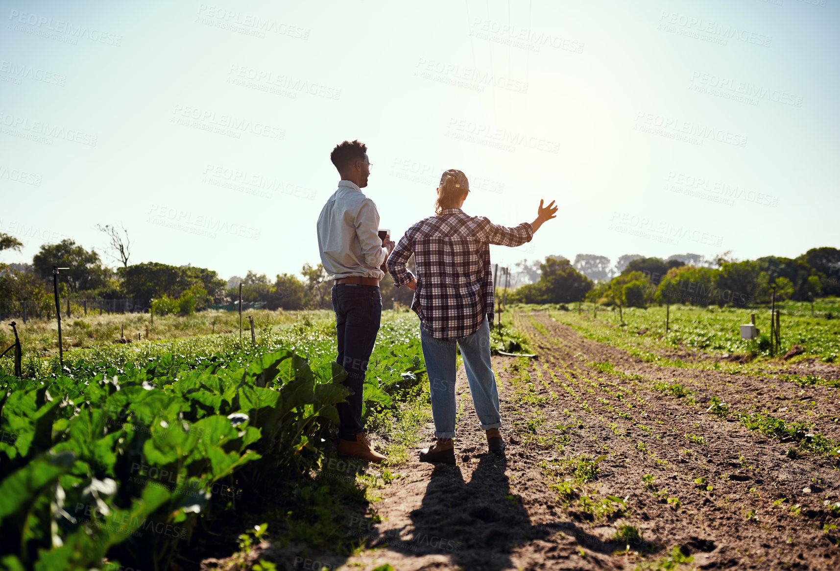 Buy stock photo Rearview shot of two young farmers looking at a tablet while working on their farm
