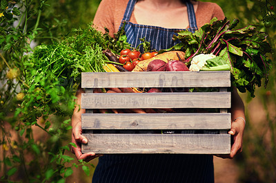 Buy stock photo Cropped shot of an unrecognizable female farmer carrying a crate full of fresh produce at her farm
