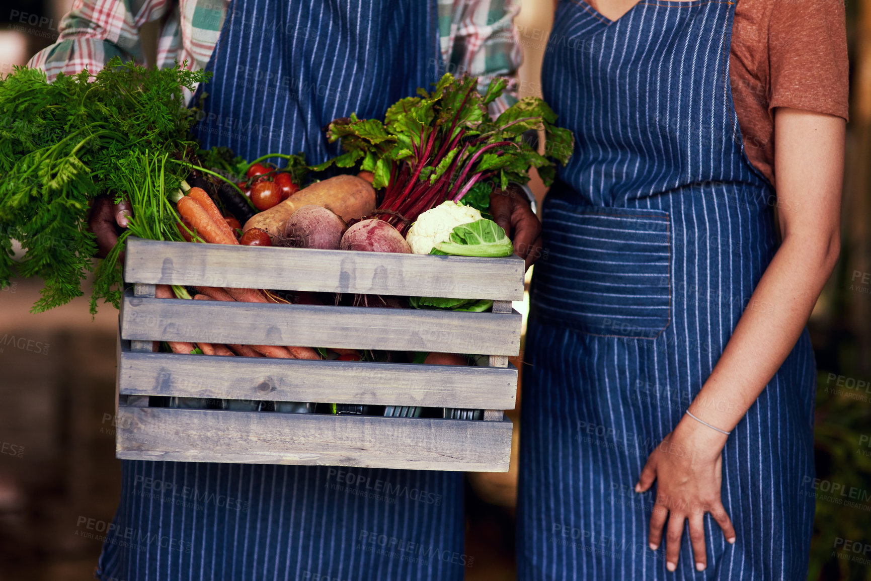 Buy stock photo Cropped shot of two unrecognizable farm workers holding a crate full of fresh produce at their farm