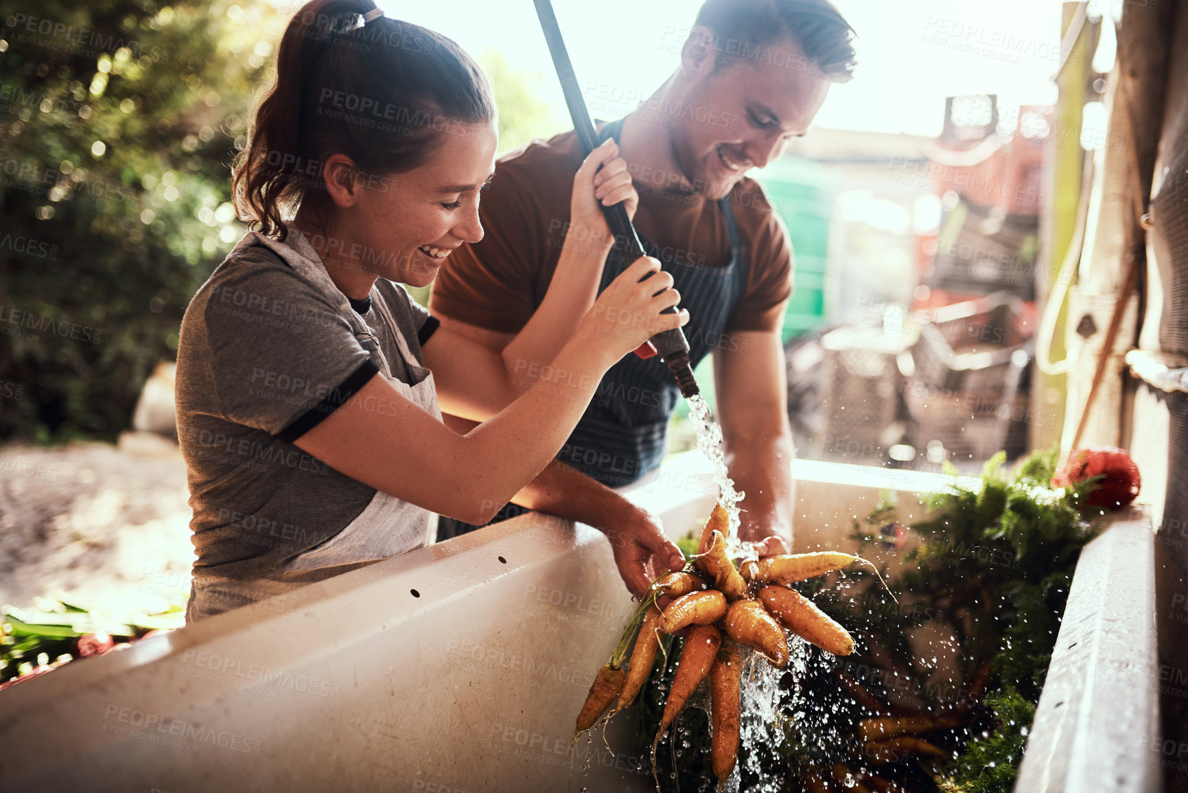 Buy stock photo Shot of a happy young couple cleaning and preparing a bunch of freshly picked carrots at their farm