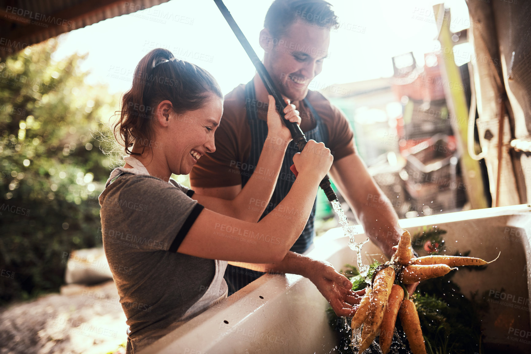 Buy stock photo Shot of a happy young couple cleaning and preparing a bunch of freshly picked carrots at their farm