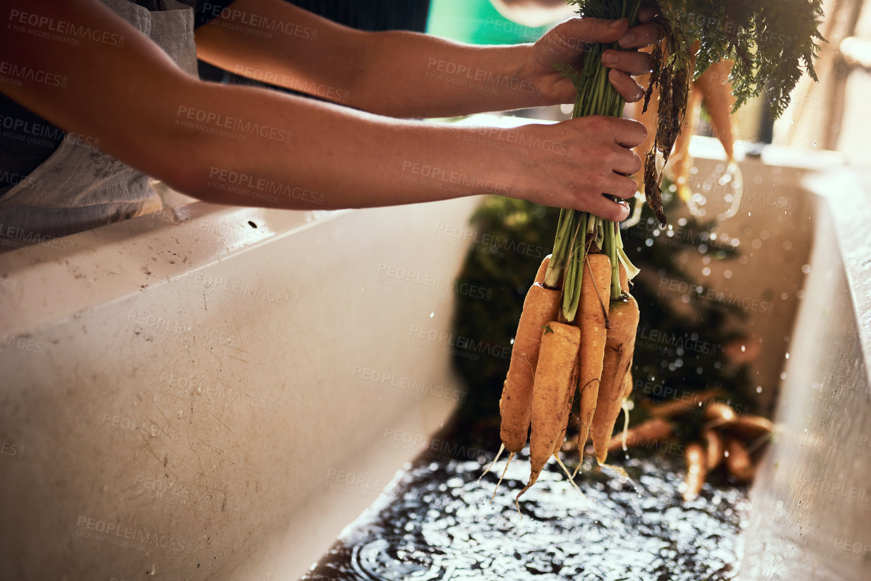 Buy stock photo Cropped shot of an unrecognizable couple cleaning and preparing a bunch of freshly picked carrots at their farm