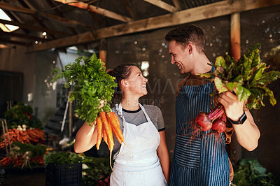 Buy stock photo Shot of a happy young couple posing together holding bunches of freshly picked carrots and beetroot at their farm