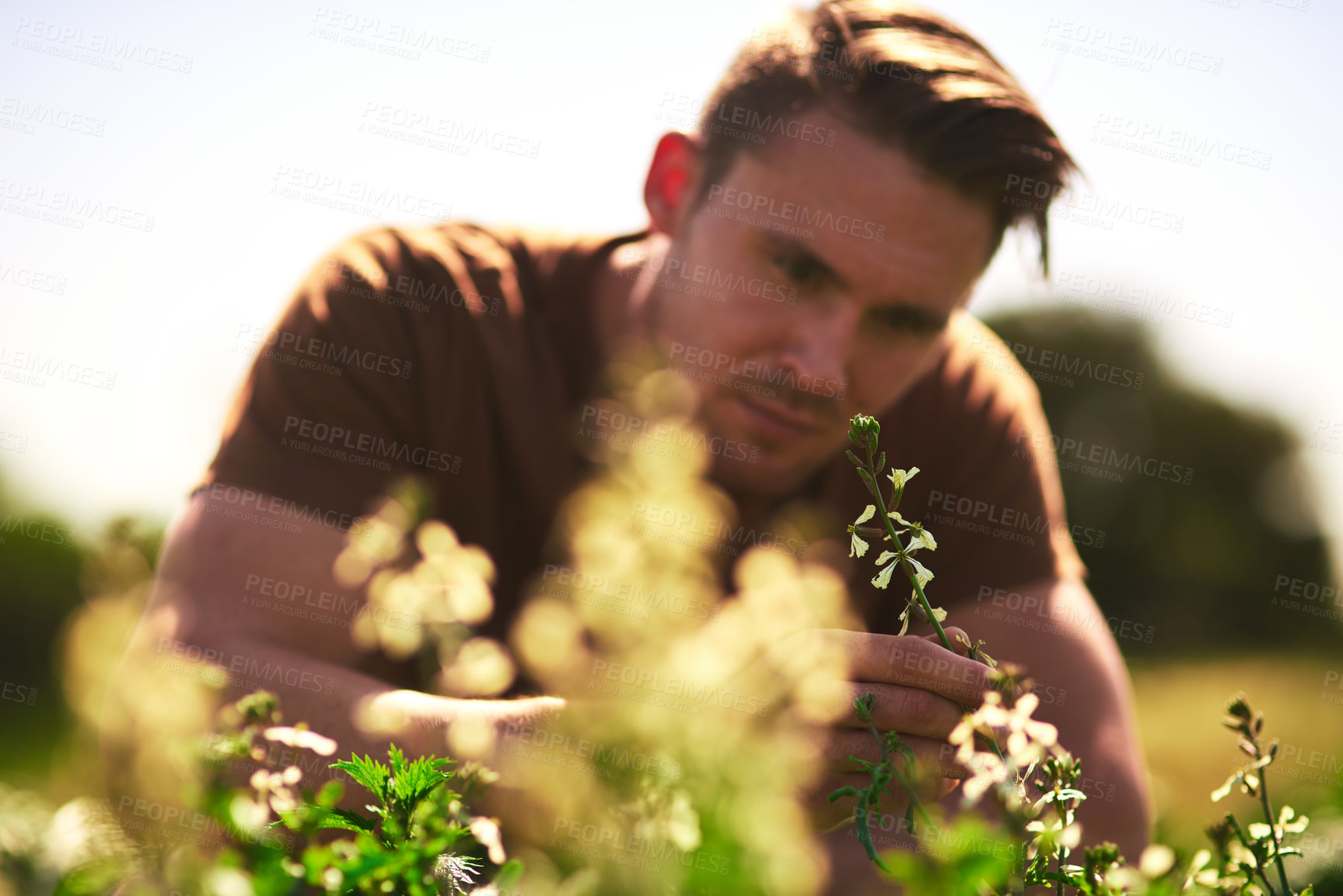 Buy stock photo Cropped shot of a young farmer looking at the crops on his farm