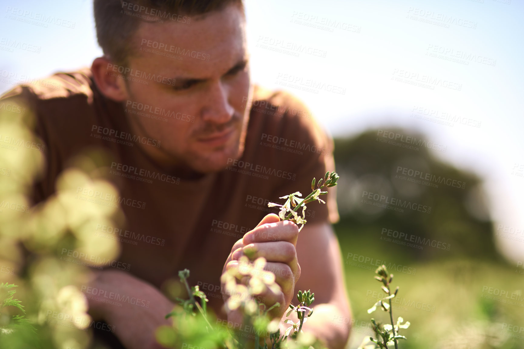 Buy stock photo Cropped shot of a young farmer looking at the crops on his farm