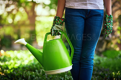Buy stock photo Cropped shot of an unrecognizable female farmer watering plants and crops at her farm