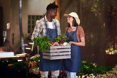 Buy stock photo Shot of a happy young couple  carrying a crate full of freshly picked vegetables at their farm