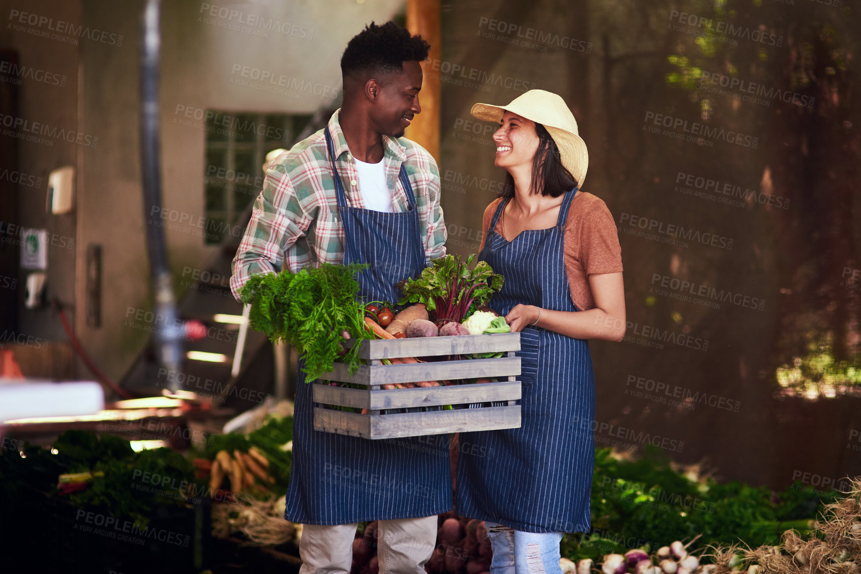 Buy stock photo Shot of a happy young couple  carrying a crate full of freshly picked vegetables at their farm