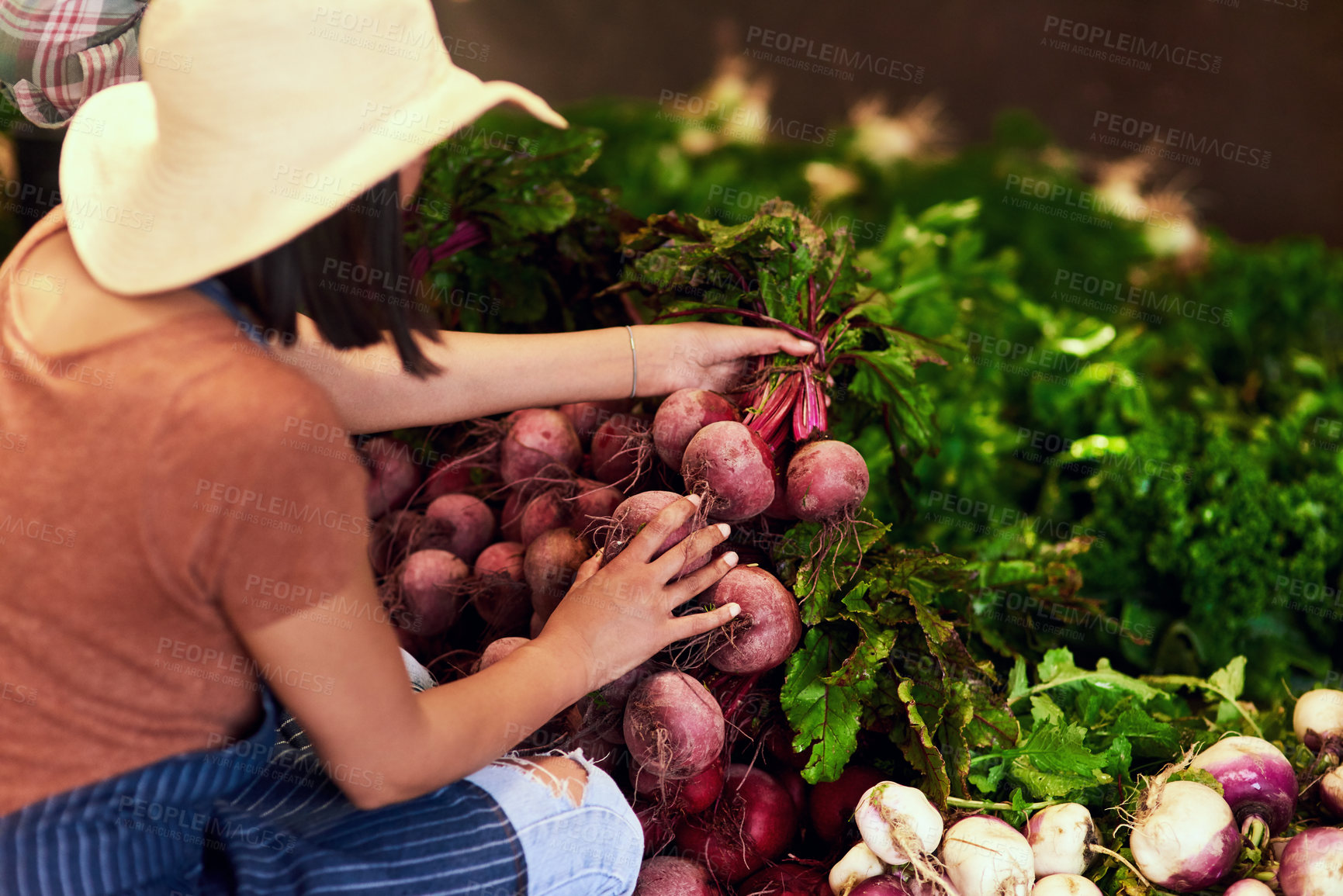 Buy stock photo Shot of a young female farmer picking bunches of fresh beetroot outdoors in the fields at her farm