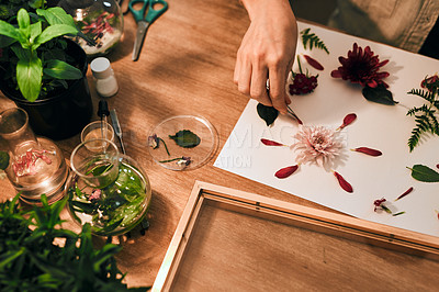Buy stock photo Cropped shot of an unrecognizable florist decorating and pressing flowers into a wall frame inside her store