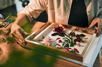Buy stock photo Cropped shot of an unrecognizable florist decorating and pressing flowers into a wall frame inside her store