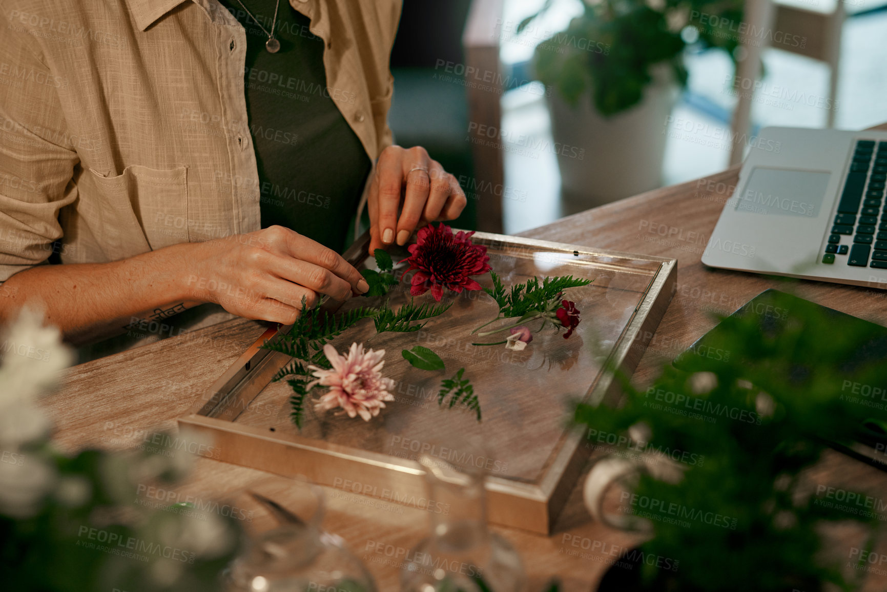 Buy stock photo Cropped shot of an unrecognizable florist decorating and pressing flowers into a wall frame inside her store