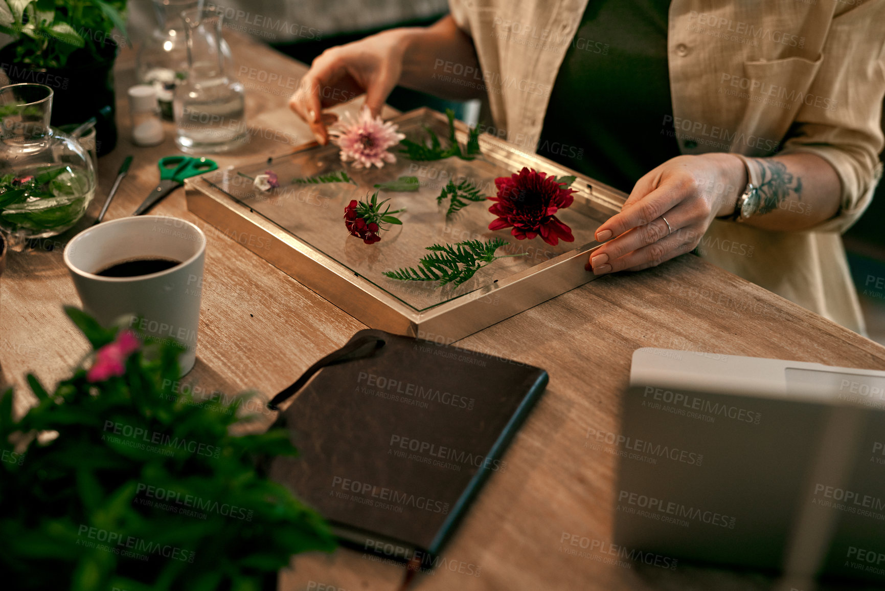 Buy stock photo Person, hands and flowers for framing at table with sustainability work or floral, job or decoration in shop. Business owner, plants and frame on desk in store with leaf, design with wood for art