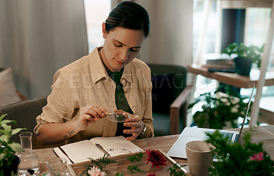 Buy stock photo Shot of an attractive young florist writing on her notepad while doing a checklist of the flowers at her store