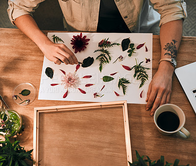 Buy stock photo Flowers, creativity and hands at desk for small business, plants and art deco or framing. Designer, green or floral at table for retail, shopping and eco friendly or sustainable project in workshop