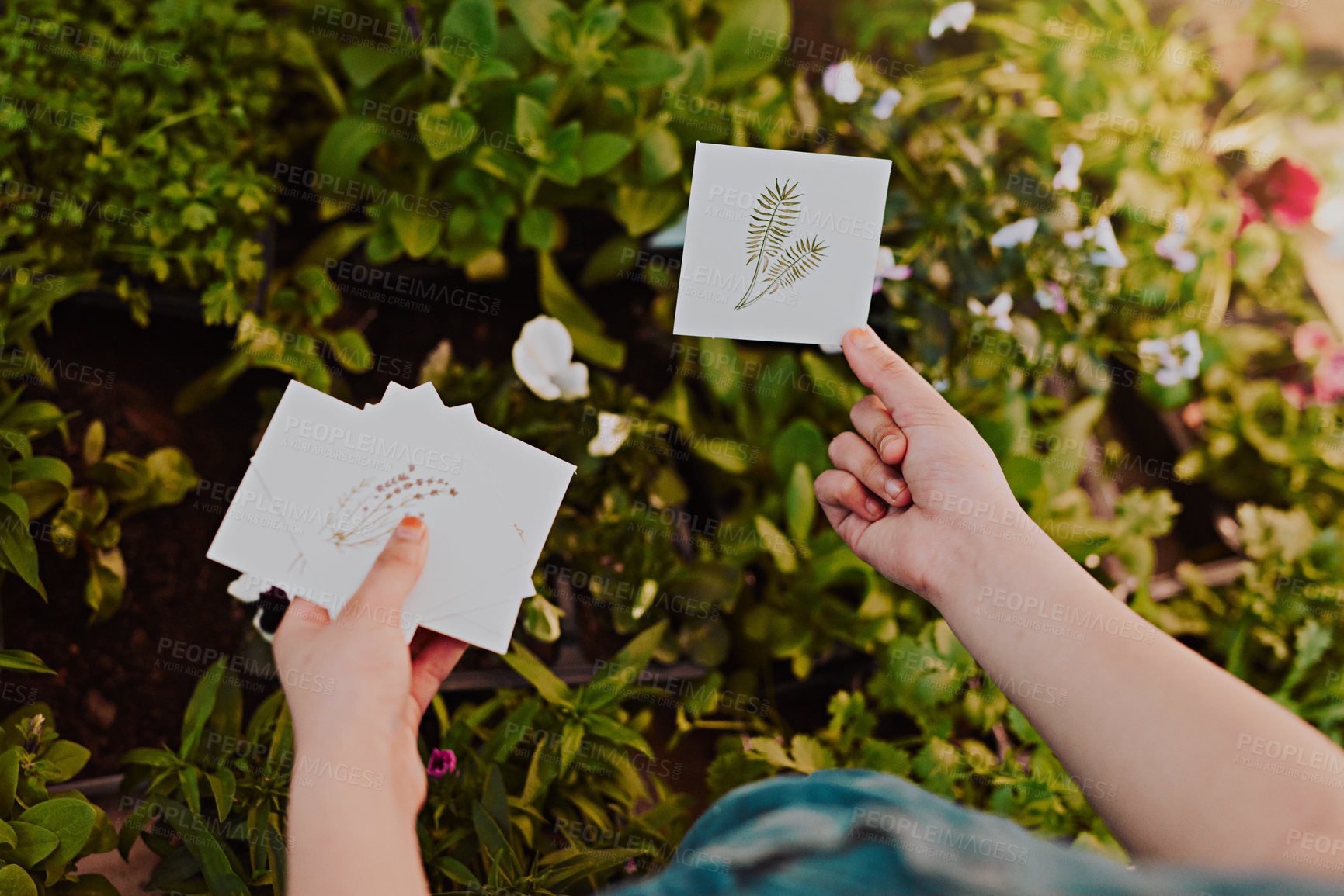 Buy stock photo High angle shot of an unrecognizable young girl holding placards with drawings on them while analyzing plants at home