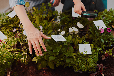 Buy stock photo Cropped shot of two unrecognizable young siblings labelling plants with placards that have drawings on them at home