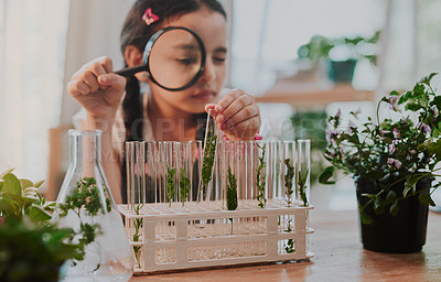 Buy stock photo Cropped shot of an adorable little girl looking through a magnifying glass while analysing plants from a test tube at home