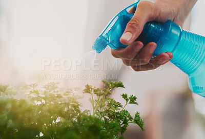 Buy stock photo Cropped shot of an unrecognizable young boy watering some plants at home