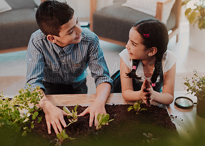 Buy stock photo Cropped shot of two adorable young siblings smiling at each other while experimenting with plants at home