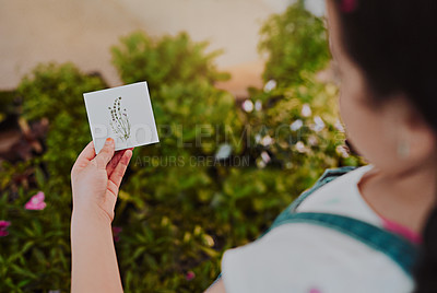 Buy stock photo Cropped shot of an unrecognizable young girl holding a placard with a plant drawing on it while analysing plants at home