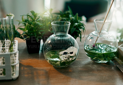 Buy stock photo Still life shot of hydroponic plants in glass jars inside a botanist's office
