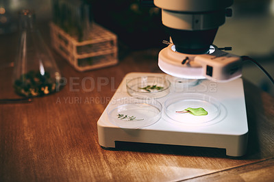 Buy stock photo Still life shot of various plant samples under a microscope in botanist's office