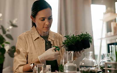 Buy stock photo Shot of an attractive young botanist trimming the leaves of a plant while working inside her office
