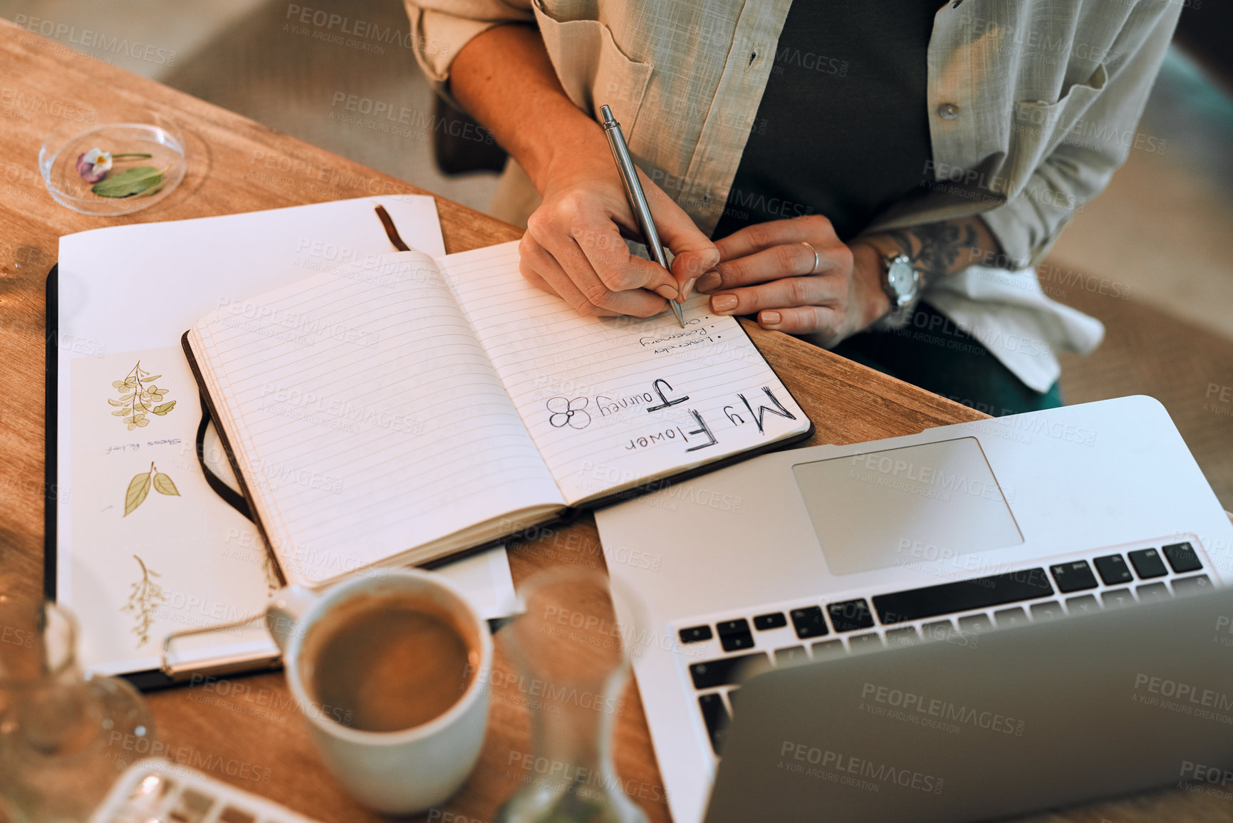 Buy stock photo Woman, hands and writing in notebook with laptop for growth progress, observation journal and garden planner. Girl, botanist and plants in home for horticulture documentation and hydroponic study.