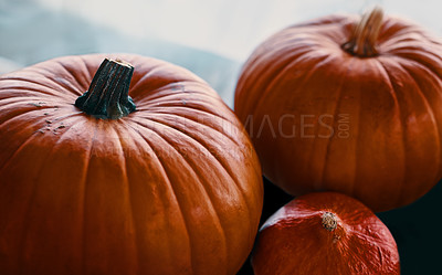 Buy stock photo Shot of a collection of ripe pumpkins at home