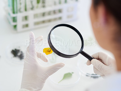 Buy stock photo Closeup shot of an unrecognisable scientist using a magnifying glass to analyse a flower in a lab