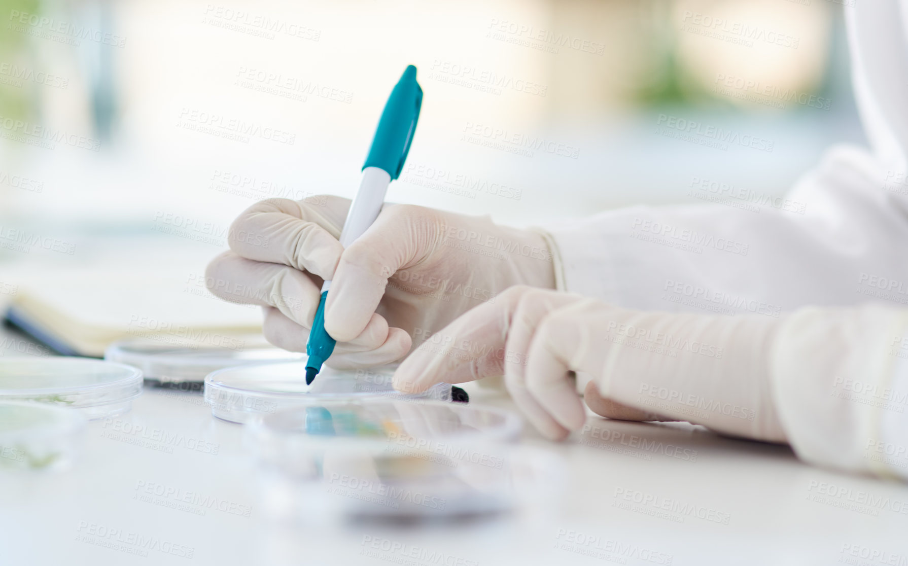 Buy stock photo Research, writing and hands or scientist with pen to label petri dish for identification or analysis for tools. Person, zoom and marker in laboratory for innovation study, experiment and breakthrough