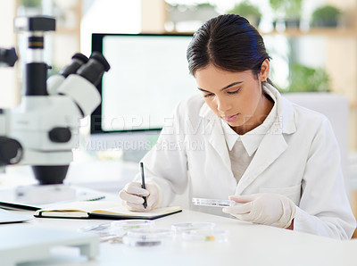 Buy stock photo Science, woman and writing in lab with biotechnology for sample analysis, leaves experiment or results on plant study. Scientist, expert and notes on sustainable healthcare and herb medicine progress