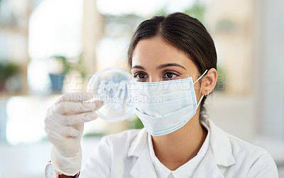 Buy stock photo Shot of a young scientist analysing samples in a petri dish in a lab