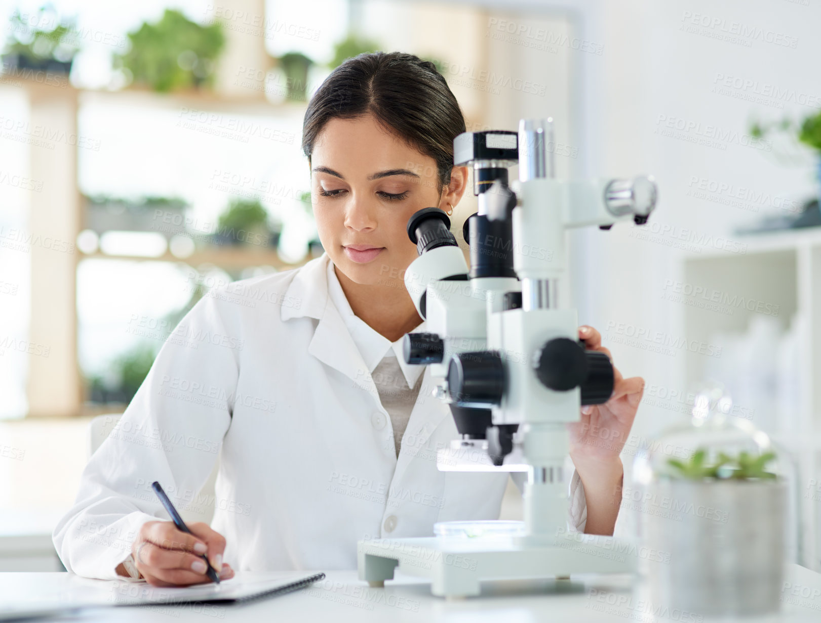 Buy stock photo Science, microscope or writing notes in lab with research for sample analysis, medical experiment or DNA test. Scientist, woman or expert with tech equipment for gene study or healthcare breakthrough
