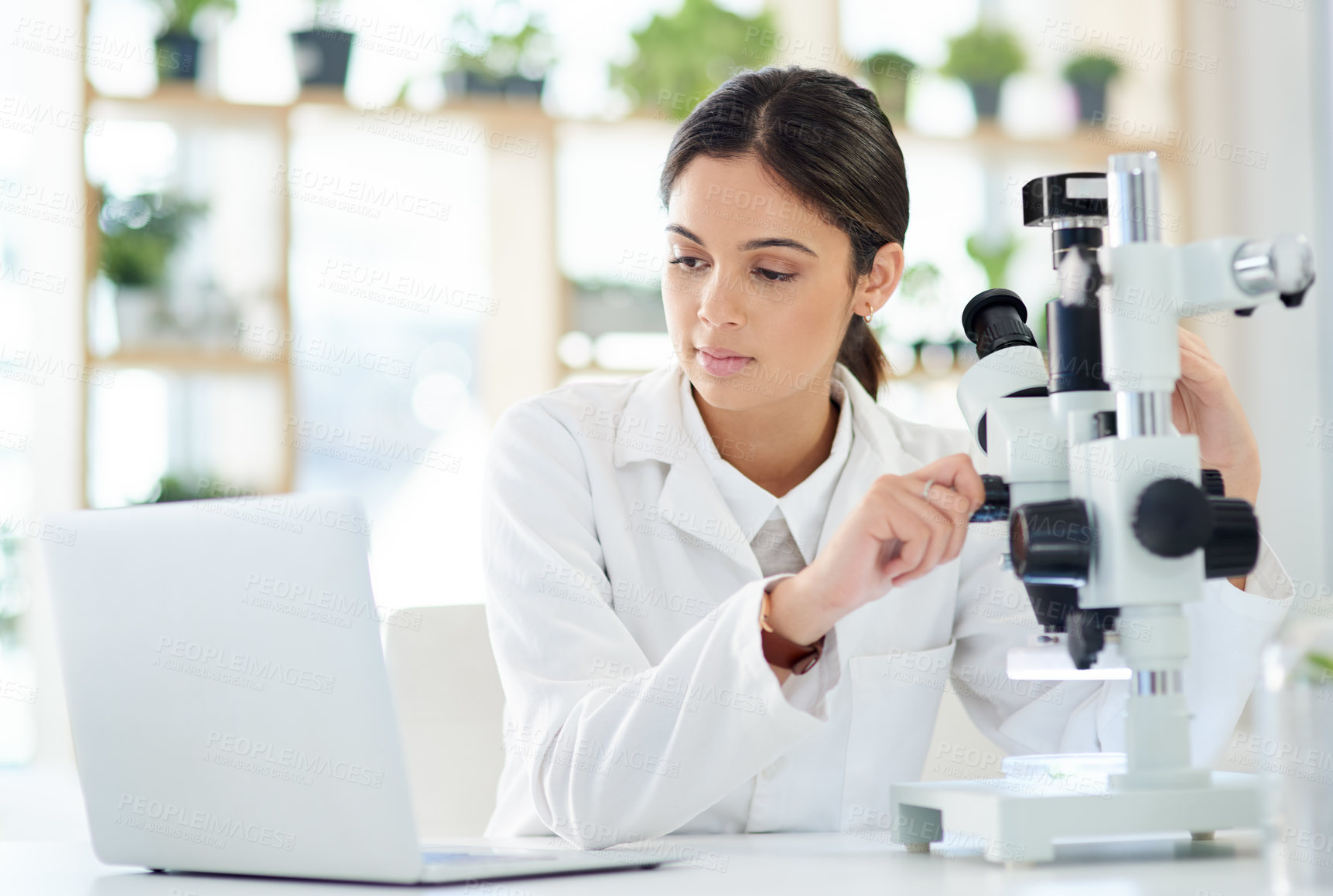 Buy stock photo Shot of a young scientist using a laptop and microscope in a lab