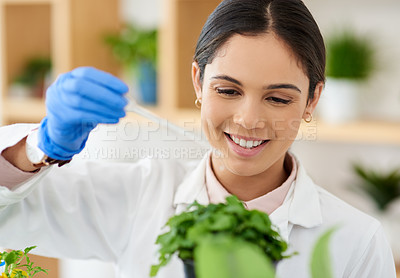 Buy stock photo Scientist, woman and dropper or plant for research, innovation or botany in medical laboratory. Science professional, glass and experiment with leaf for ecology, natural and organic gmo for growth