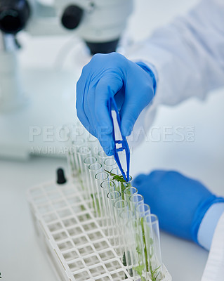 Buy stock photo Hand, test tubes and plants for research, laboratory and pharmaceutical development for health care. Person, medicine or discovery for innovation, life extension and professional biochemistry science