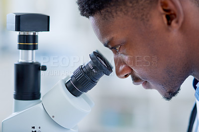Buy stock photo Science, microscope and doctor man laboratory for medical, research or investigation, results or inspection. Bacteria, healthcare and African health expert with virus study, testing and dna analysis