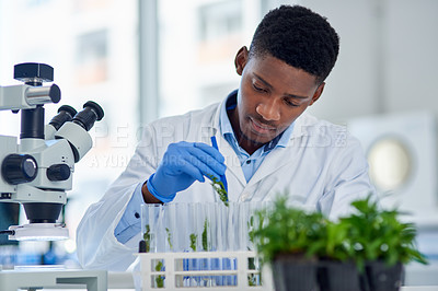 Buy stock photo Research, vial and man scientist with plant in laboratory for agriculture, sustainability or ecology. Leaf, medical study and botanist with clean energy, innovation and gmo engineering or analysis