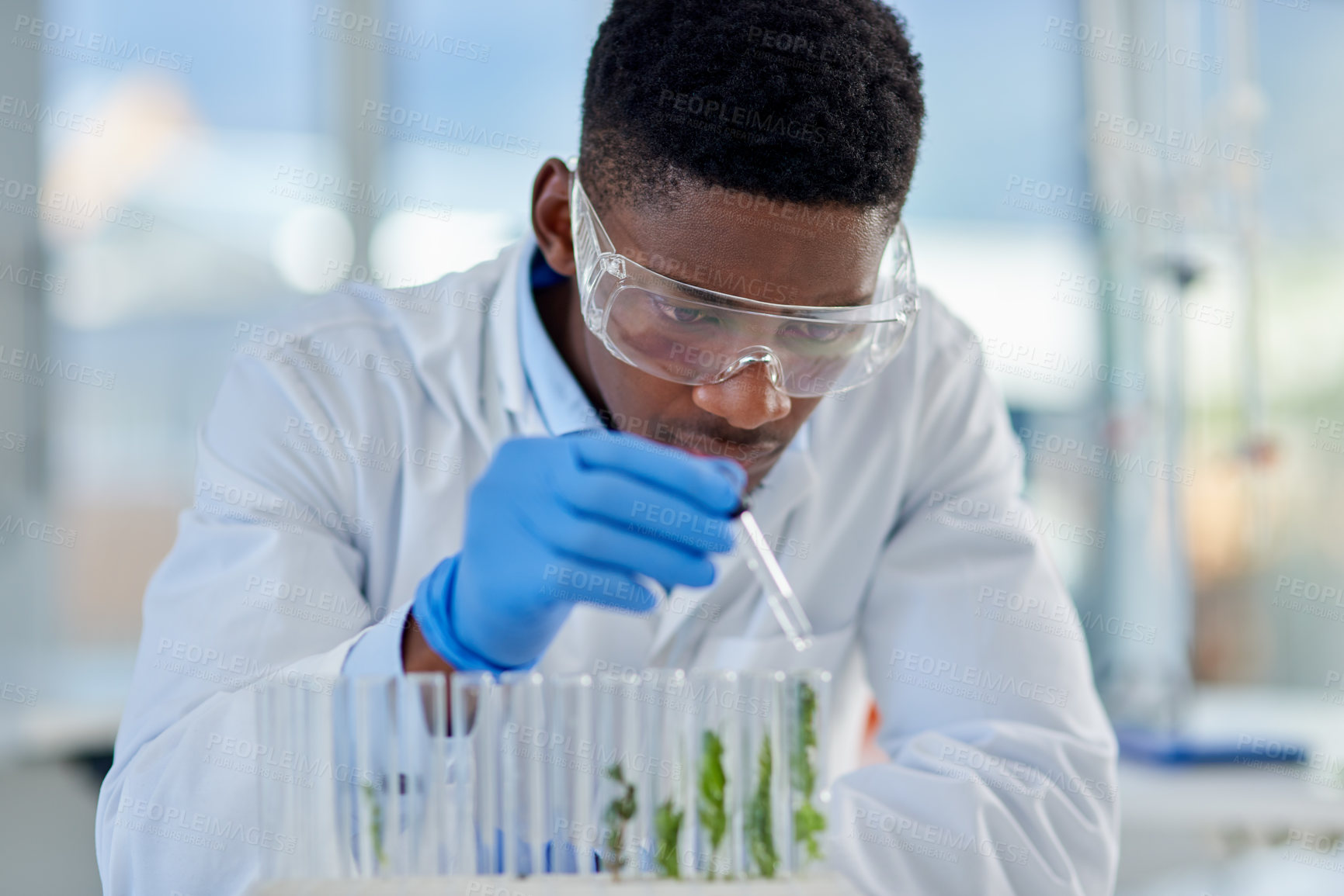Buy stock photo Cropped shot of a focused young male scientist giving water to a plant inside of a laboratory during the day